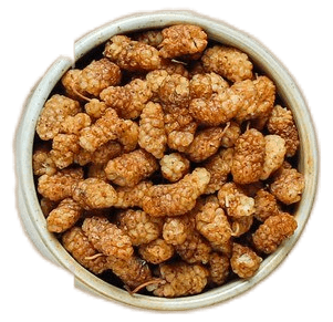 Sušara, pušnica, kvalitetna, sušeno voće, povrće i meso